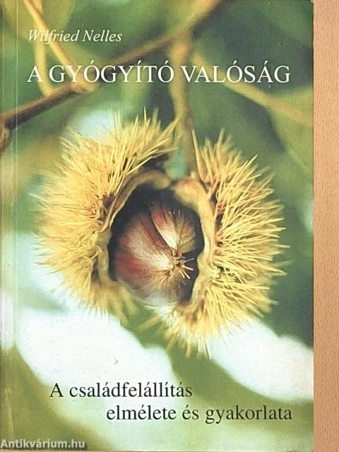 A gyógyító valóság
