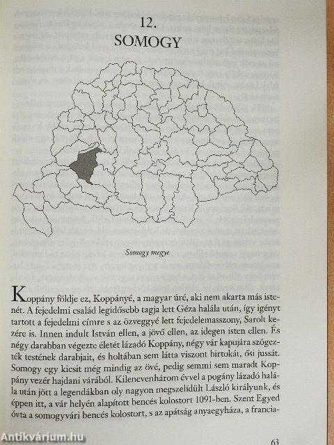 1100 év Európa közepén