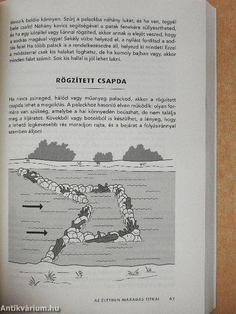 Életben maradni