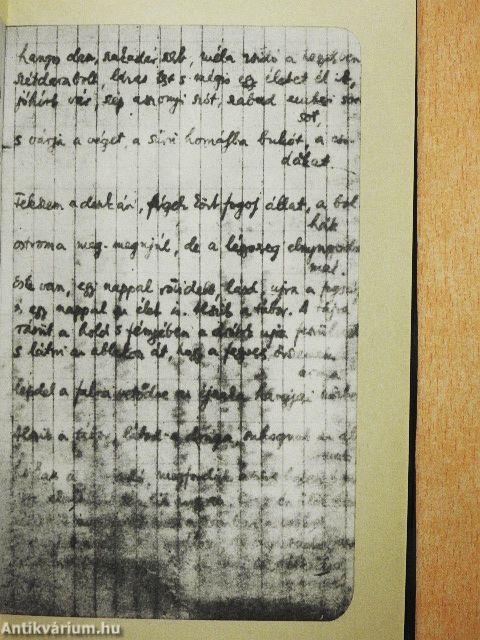 Bori notesz/Bori notesz melléklet