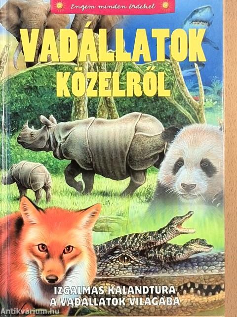 Vadállatok közelről
