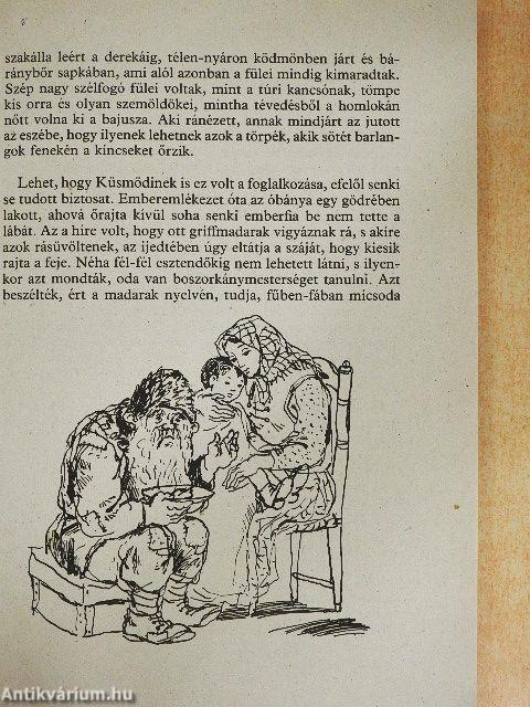 Kincskereső kisködmön