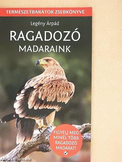 Ragadozó madaraink