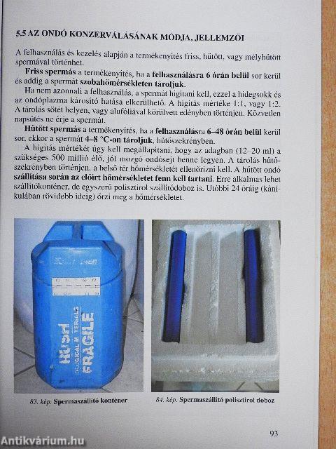Ló inszeminálás