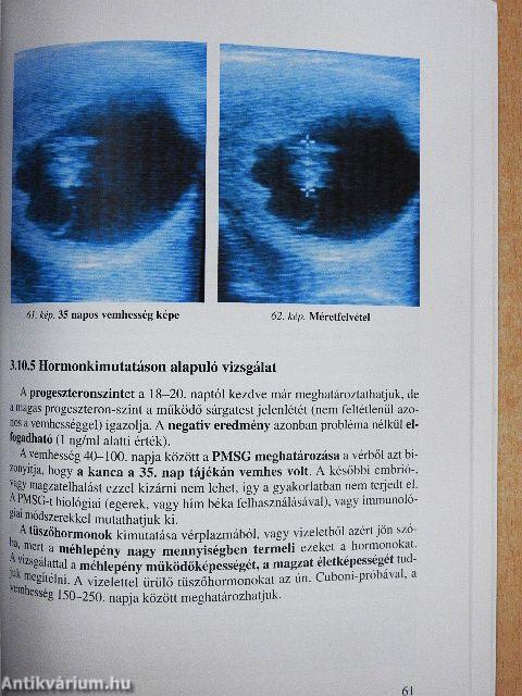 Ló inszeminálás