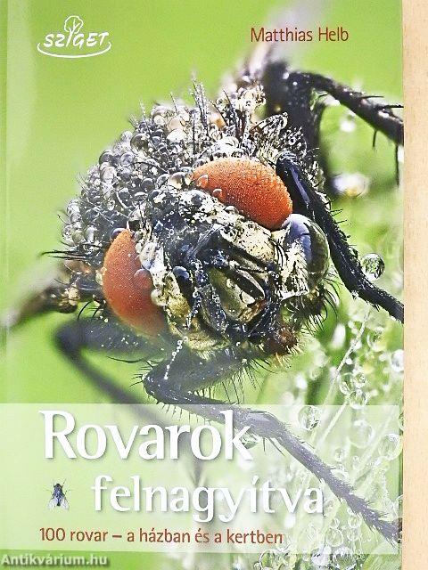 Rovarok felnagyítva