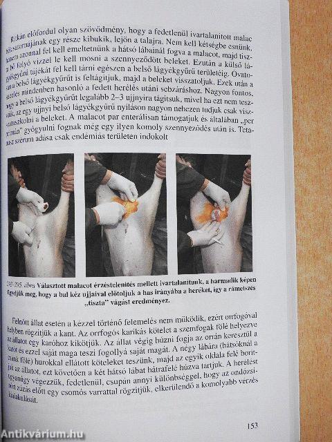 Állatorvosi szaksegéd II.