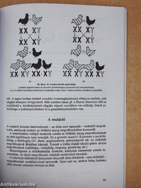 Általános állattenyésztés