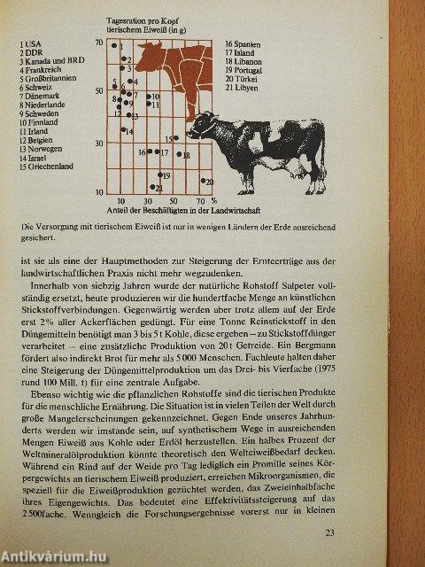 Rohstoffe im Engpaß
