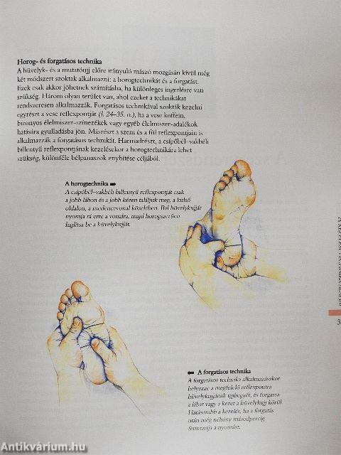 Reflexológia lépésről lépésre