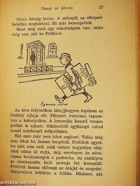 Tanár úr kérem