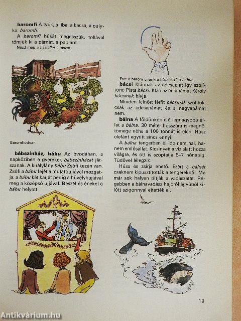 Ablak-Zsiráf