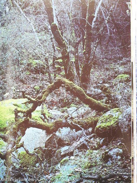 Steinbeck Country