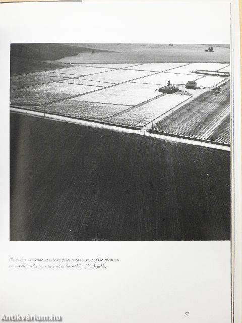Steinbeck Country