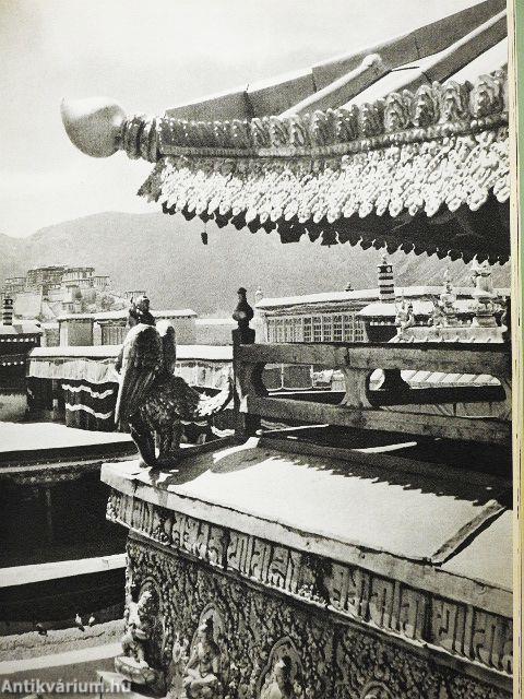 Tibet