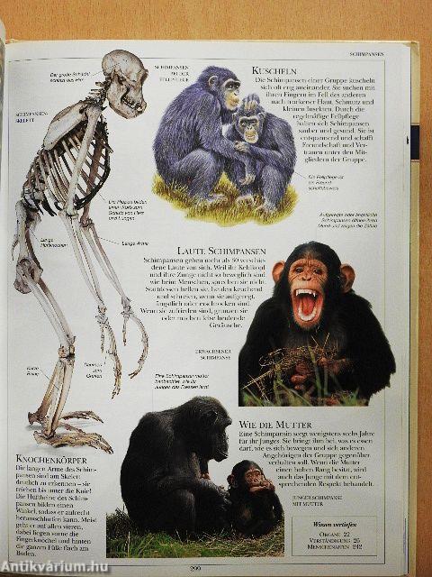 Das grosse Tierlexikon
