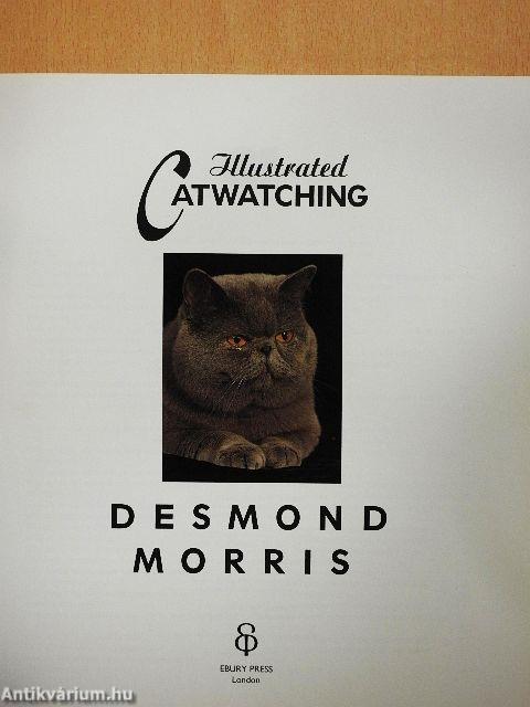 Illustrated Catwatching