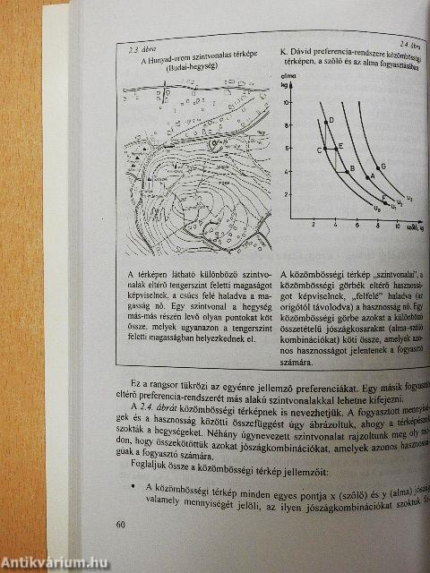 Közgazdaságtan I.