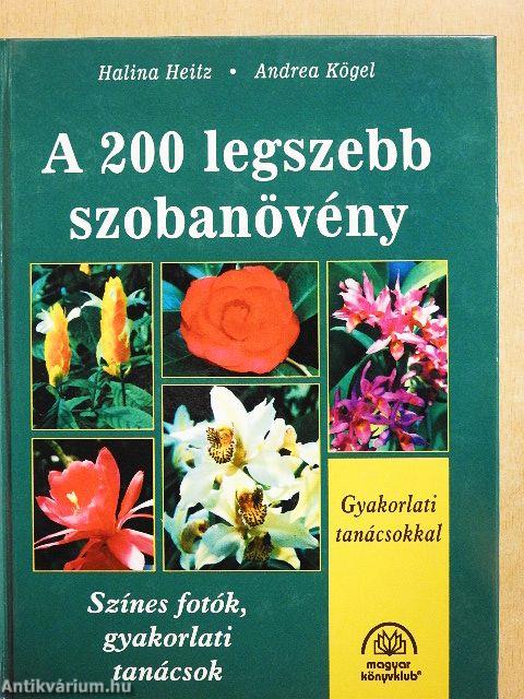 A 200 legszebb szobanövény