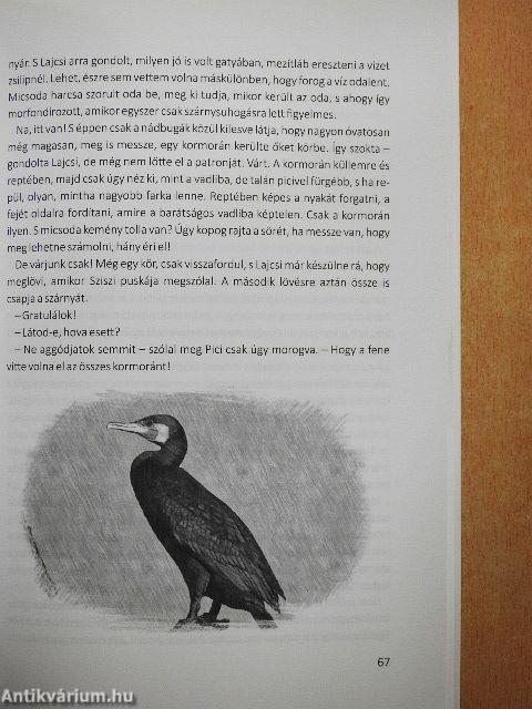 Hubert, a vadászmanó