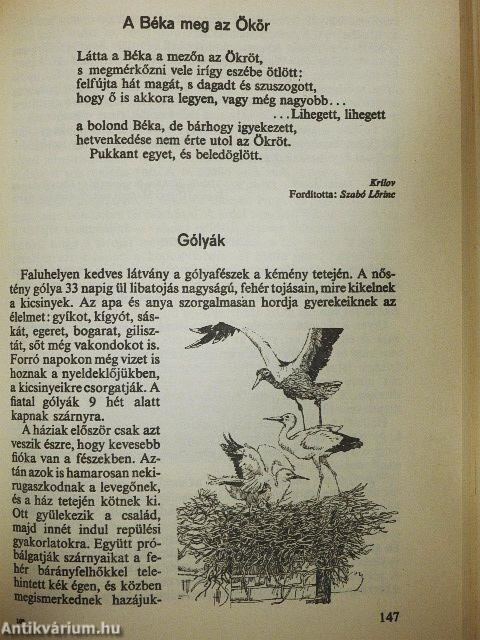 Nézz körül!
