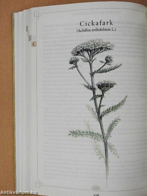 Herbárium