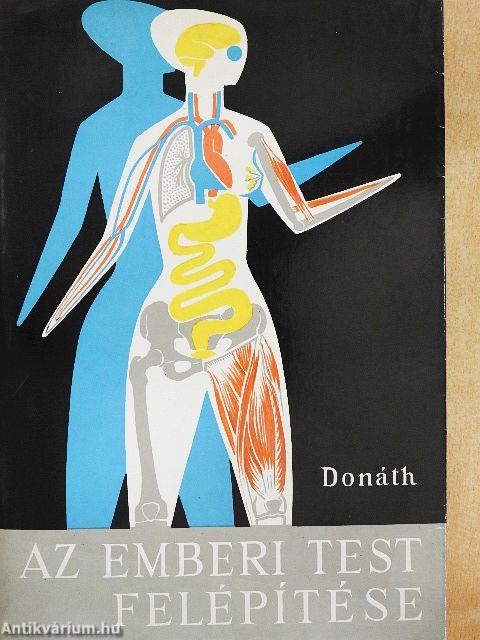 Az emberi test felépítése