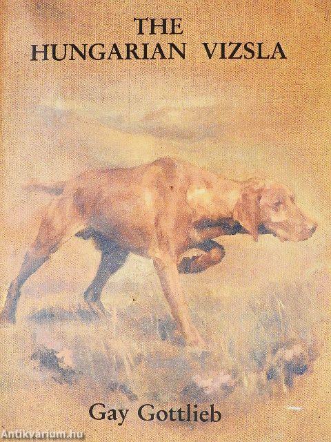 The Hungarian Vizsla