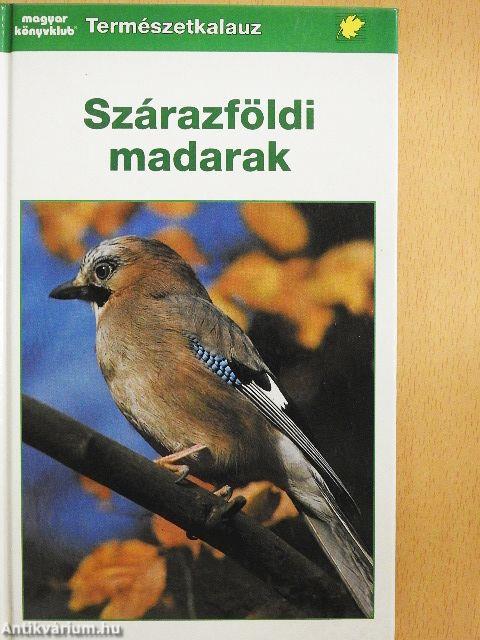 Szárazföldi madarak