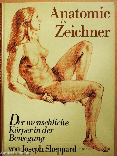 Anatomie für Zeichner