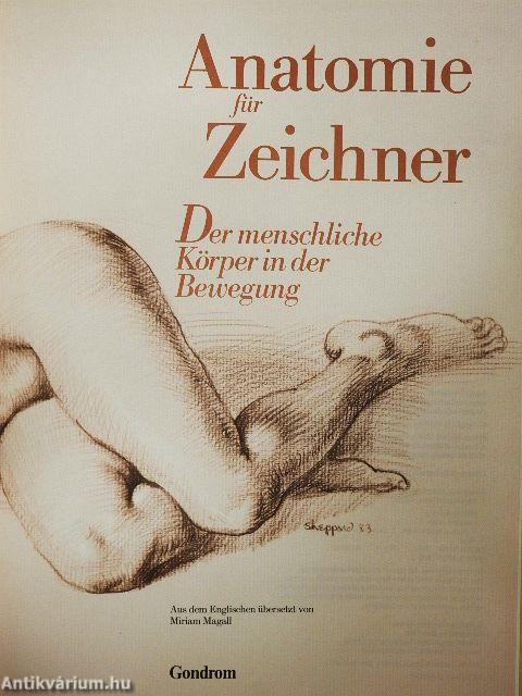 Anatomie für Zeichner