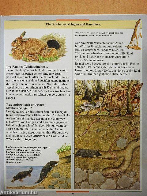 Leben der Tiere