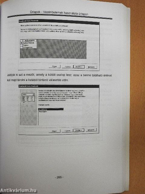 Alkalmazásfejlesztés Access 2000-ben