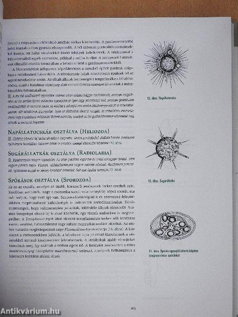 Biológia I-II.