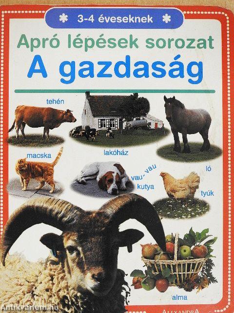 A gazdaság
