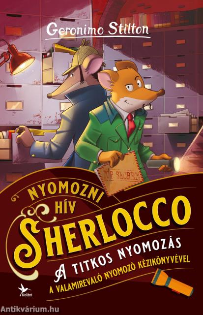 A titkos nyomozás