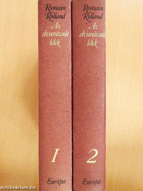 Az elvarázsolt lélek 1-2.