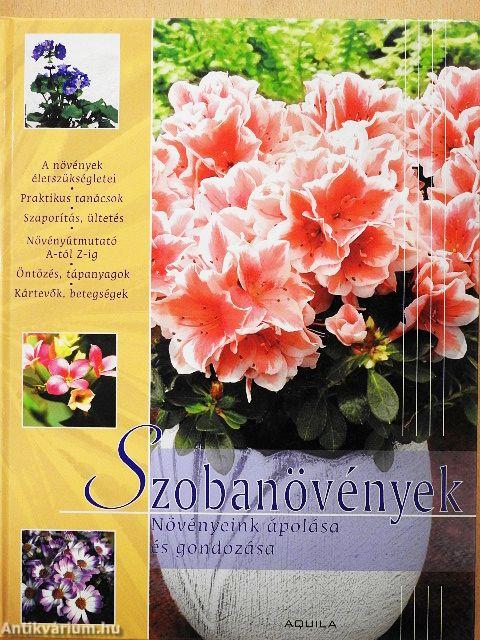 Szobanövények