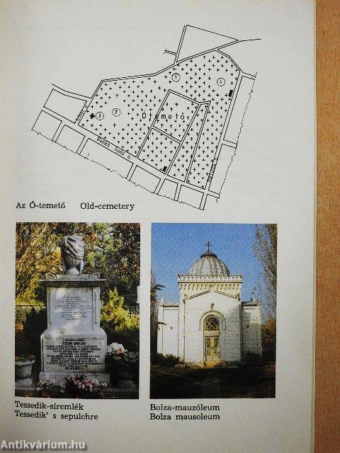 Szarvasi kalauz