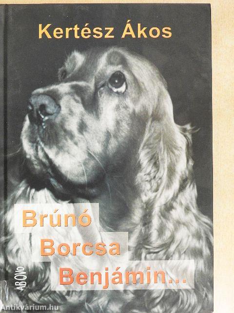 Brúnó, Borcsa, Benjámin...
