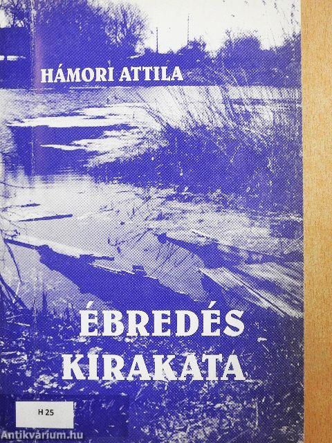 Ébredés kirakata