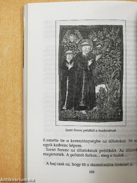 Macskaregény