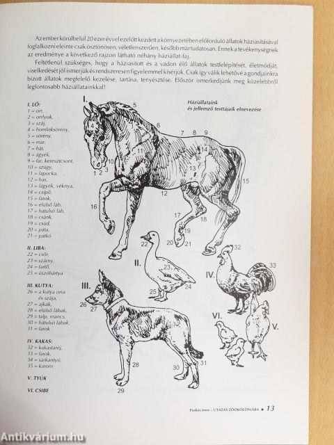 Utazás Zookolóniába