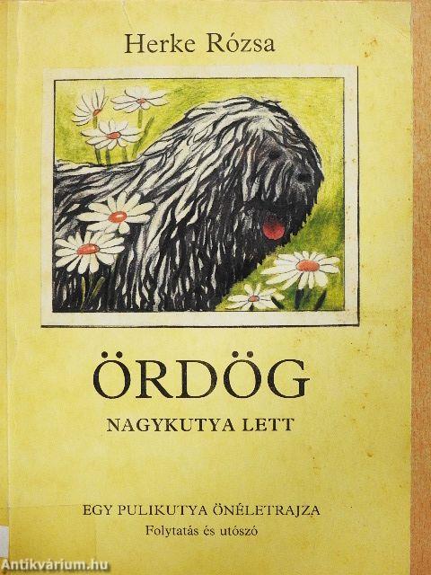 Ördög nagykutya lett