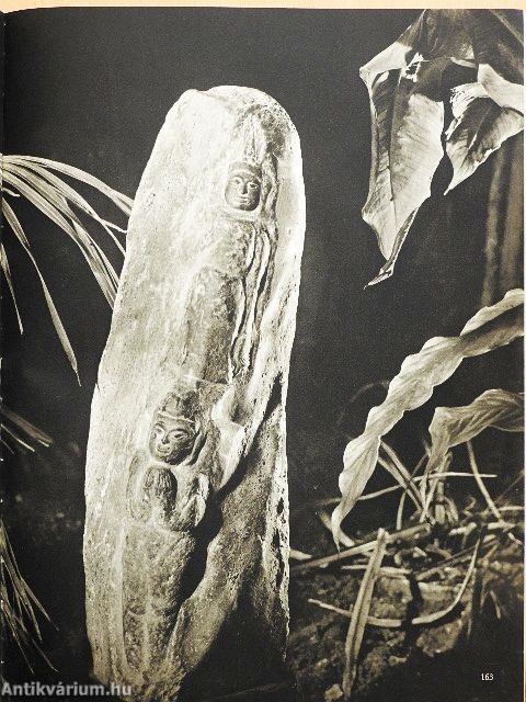 Kunst ferner Länder