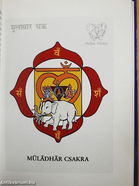 Kundalini és csakrák