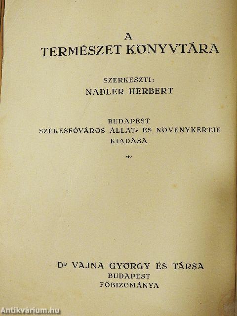 Gorillák és törpék között