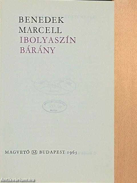 Ibolyaszín bárány