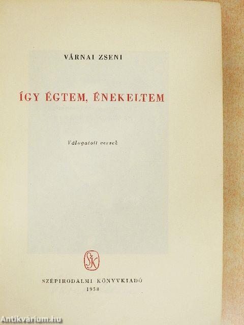 Így égtem, énekeltem