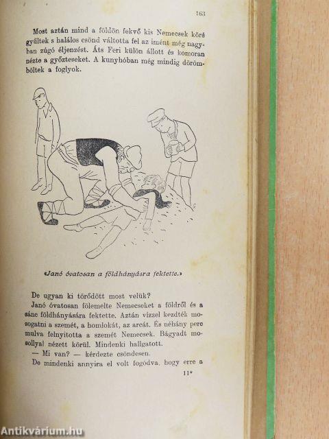 A Pál-utcai fiúk